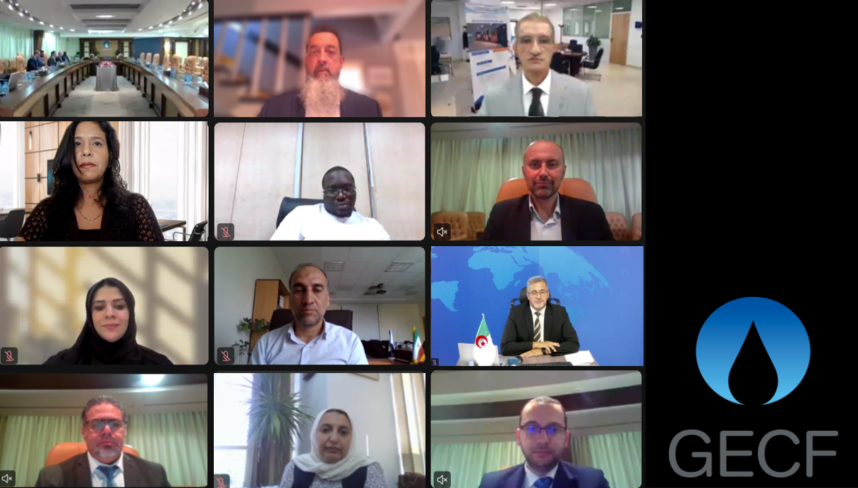 17th Meeting of the Gas Research Institute (GRI) Scientific Committee