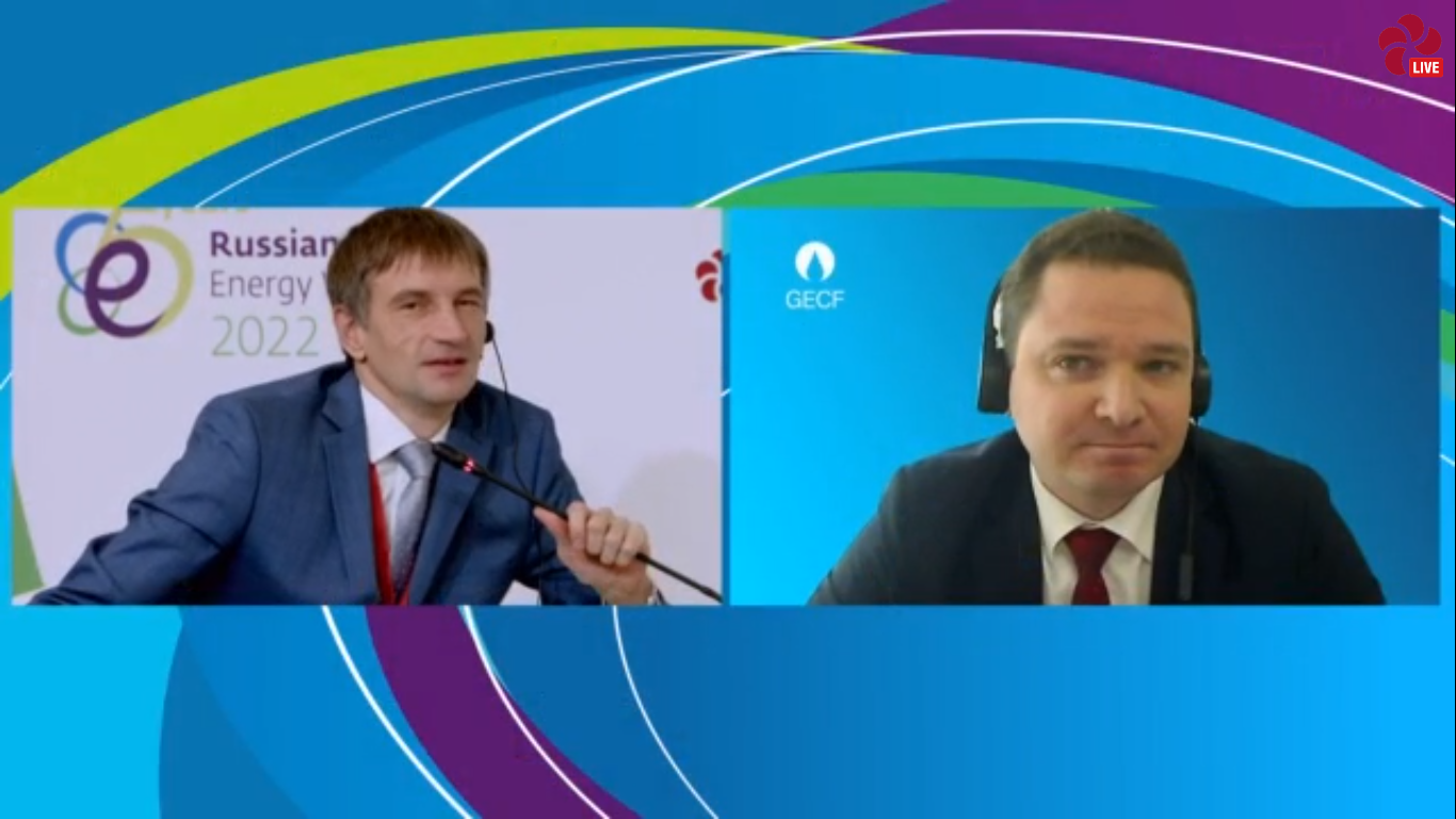 GECF participates in the meeting of the BRICS Energy Research Cooperation Platform