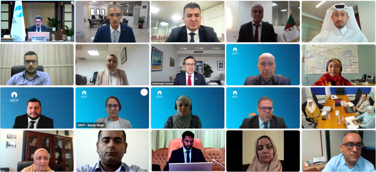 First-ever GECF event on gas flaring reduction held