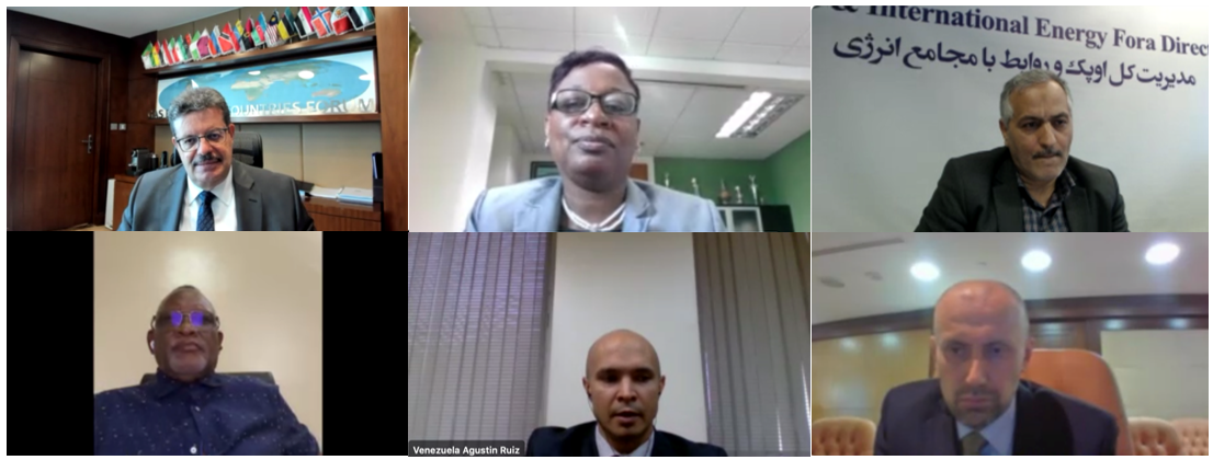 High-Level Working Group on “Long-Term Strategy” meets again to review progress