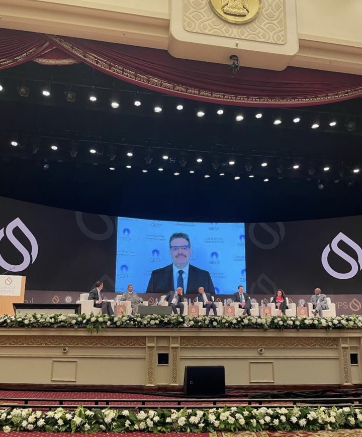 Natural gas the fuel for sustainable development: GECF Secretary General at EGYPS 2022
