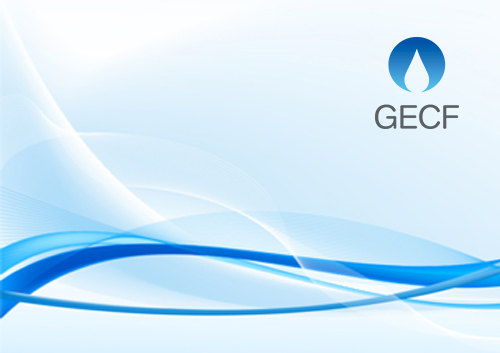 Meeting of the Secretary General with Gazprom Representative Office in Qatar