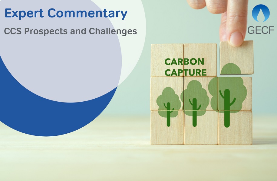 CCS prospects and challenges - 10 July 2023 Doha, Qatar