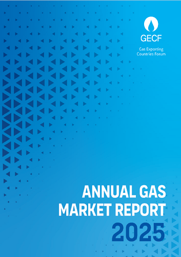 Annual Gas Market Report