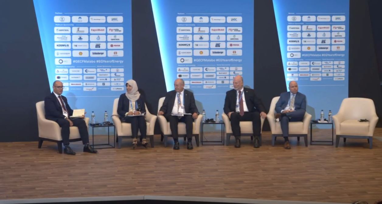 2nd International Gas Seminar | 5th GECF Summit | Panel Discussion: Monetization of Natural Gas