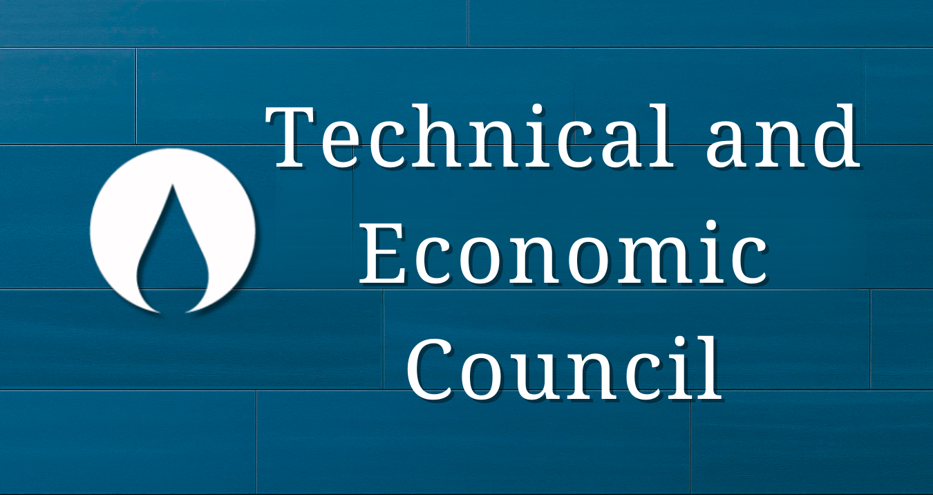 Technical and Economic Council