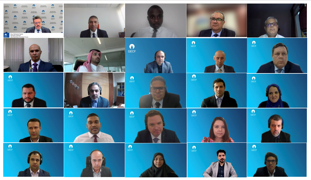 15th GECF Technical and Economic Council Meeting held