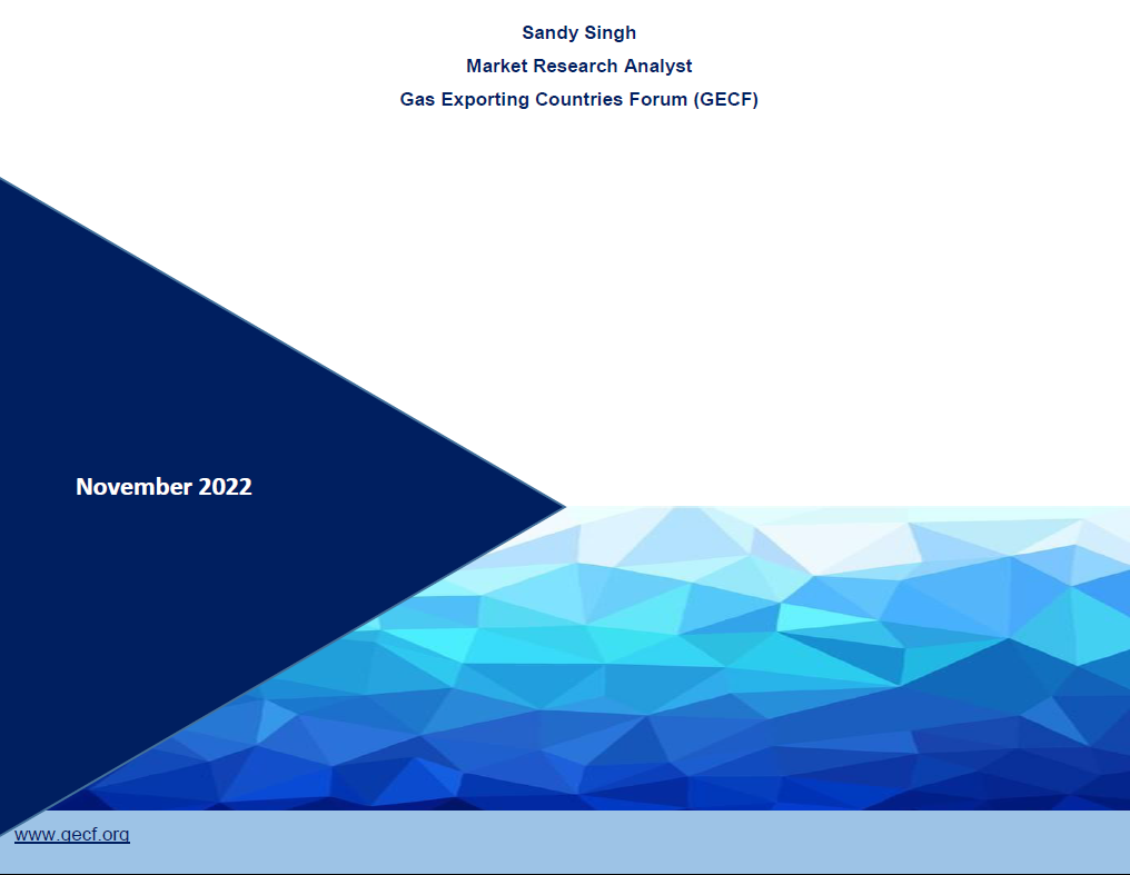 Expert Commentary - Analysis of innovative LNG solutions for creating demand in niche sectors