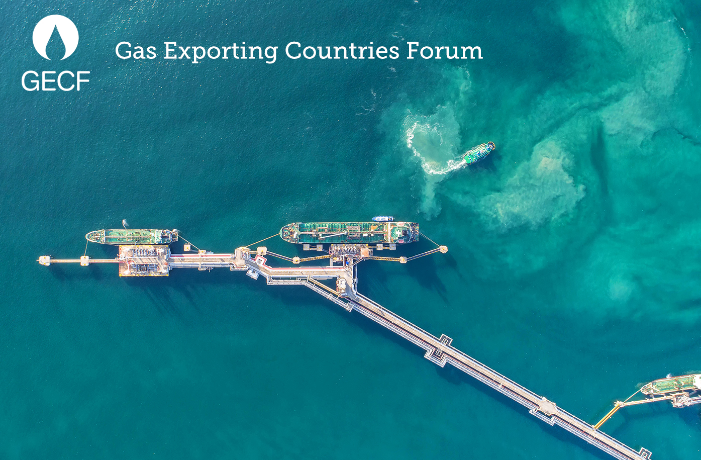 Expert Commentary - Post-COVID-19 Recovery of LNG Market: What’s Next?
