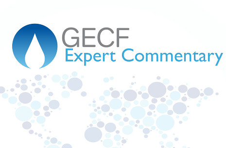 Expert Commentary - The global LNG bunker fuel market: the current state and prospects