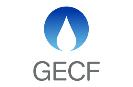 7th GECF DEM & DEC System Workshop and DAS Meeting