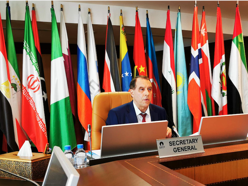 10th GECF Technical and Economic Council Meeting Held via Webinar