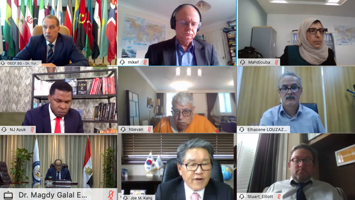 Natural Gas at a turning point: GECF Annual Workshop