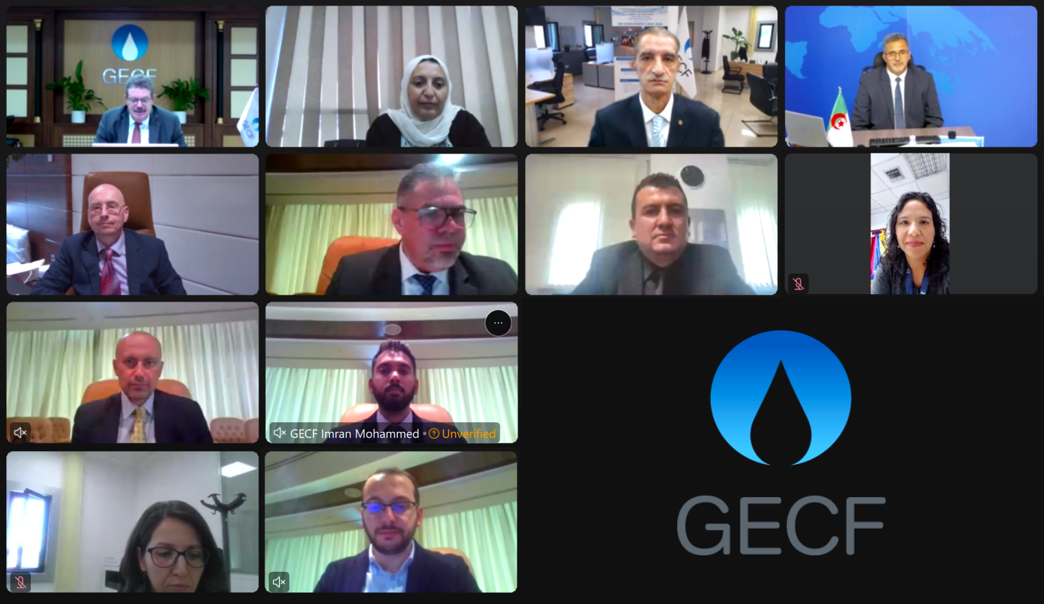 16th meeting of the Gas Research Institute (GRI) Scientific Committee