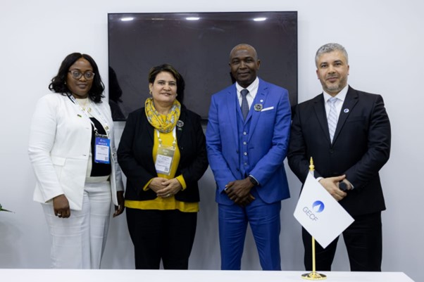 GECF Secretary General Holds Bilateral Meeting with Namibia’s Deputy Minister of Industrialization, Mines and Energy